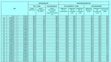 Assegno unico luglio, cosa succede con Isee aggiornato dopo il 30 giugno? Niente arretrati, ma l'importo si può ancora adeguare