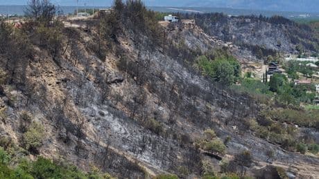 Alanya'da yangın kontrol altında alındı, Gazipaşa'da müdahale sürüyor