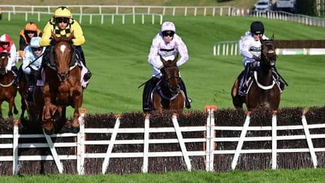 Fallen star Constitution Hill flops again at Punchestown Festival
