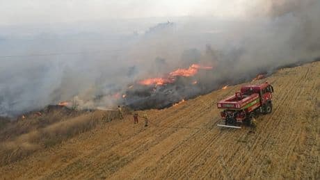 OGM Müdürü Karacabey: Yangınların yüzde 57'si orman dışı alanlarda başladı