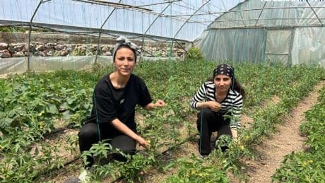 2 kuzen el ele verdi, evlerinin bahçesine kurdu! Ne bulduysa ektiler, kazançlarını paylaştılar! Aileye büyük destek
