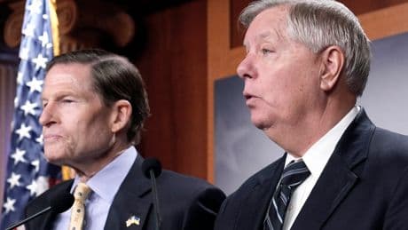 Senate seeks to hit Russia with sanctions over Ukraine — but Trump wants to control the Putin smackdown