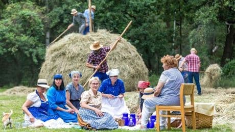 Spreewald: Traditioneller Heuschober in Alt Zauche aufgestellt
