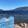 Das Phantom vom Loch Ness: Hunderte suchen wieder einmal nach "Nessie"