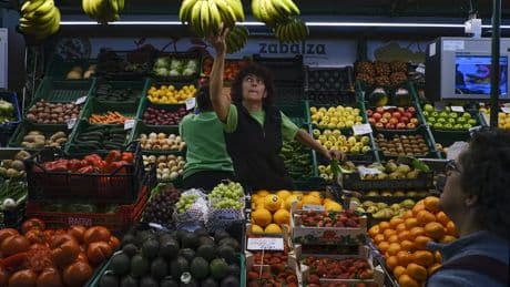 Asaja vaticina una subida en el precio de los alimentos por la reducción de la jornada laboral en el campo