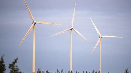 Donald Trump’s disdain for wind energy could create windfall for Nova Scotia: experts