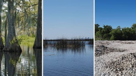 Constructive World Award: Die Sumpf-Helden, die New Orleans vor der nächsten Katastrophe schützen wollen