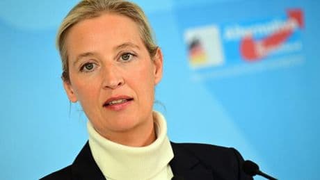 AfD erreicht in Umfrage höchsten jemals gemessenen Wert
