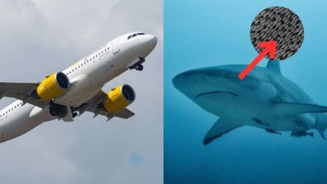 La tecnología inspirada en tiburones que reduce el consumo de los aviones aterriza en España