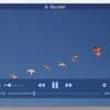 Umbau bei freiem Mac-Medienabspieler IINA: Plugin-System und mehr