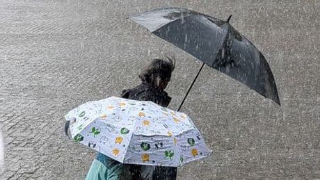 Wetter: Eigentlich Sommer, gefühlt Herbst