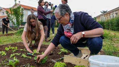 Éducation : la France mauvaise élève en connaissances environnementales