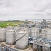 Britain's biggest bioethanol producer could close after UK-US trade deal