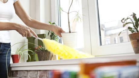Nie mehr Staub? Diese 7 Tricks halten Ihre Wohnung dauerhaft sauber