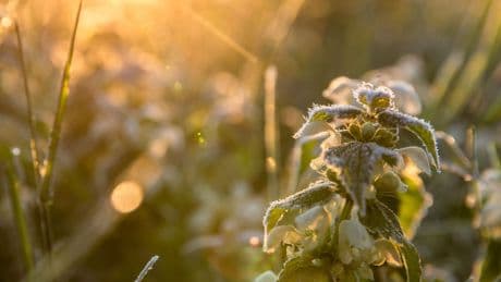 Wetter: Tagsüber bis zu 20 Grad, nachts vereinzelt Frost