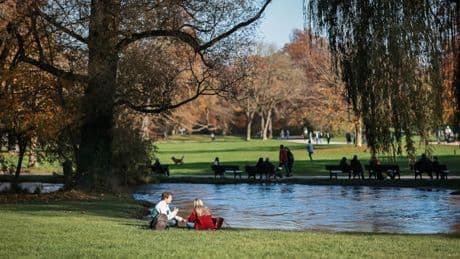 Klimawandel: Deutschland braucht mehr Oasen