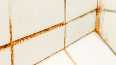 Schimmel in der Dusche: 4 effektive Hausmittel gegen schwarze Flecken