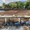 Un collège fermé au Robert à cause du retour des algues sargasses sur le littoral de Martinique