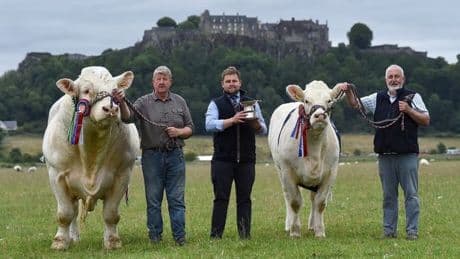Stirling farm returns from Royal Highland Show with hat trick of big wins
