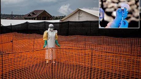 Mass vaccinations underway and towns locked down as panic over Ebola pandemic 'crisis' spreads