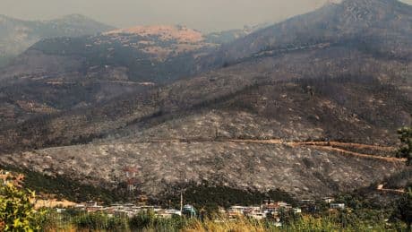 Drei Tote bei Waldbrandbekämpfung in der Türkei