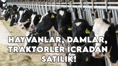 Hayvanlar, damlar, traktörler icradan satılık! Ülke tarımı iflasın eşiğinde