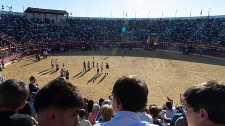 Herido un joven de 22 años tras ser corneado en la plaza de toros de Medina del Campo