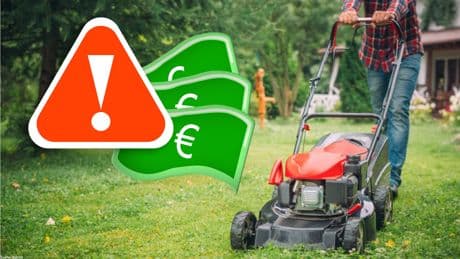 Garten: Wann Sie Ihren Rasen besser nicht mähen sollten