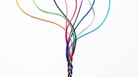 NYT Strands Hints For Friday, August 1: Today’s Spangram And Answers (Slithering Away)