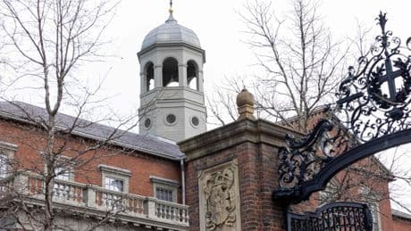 Was das Verbot der Immatrikulation ausländischer Studenten in Harvard bezweckt