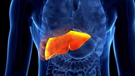 ¿Cómo se puede frenar el cáncer de hígado?