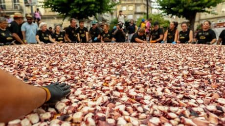 O Carballiño vuelve a exaltar el pulpo con una tapa gigante de 600 kilos