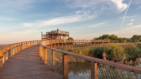 Five holiday destinations in Europe that want tourists this summer