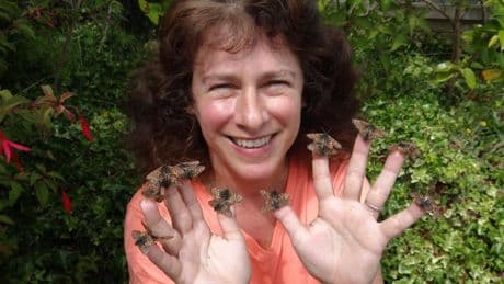 Premio Fronteras del Conocimiento a Camille Parmesan, la pionera de la ecología del cambio climático