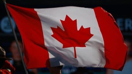 La vie de bureau au Québec : des expats racontent