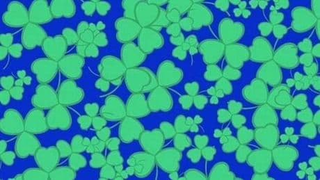 Only those with genius IQ can find rogue four-leaf clover in 15 seconds