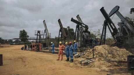 RDC: 176 organisations dénoncent l’ouverture de nouveaux blocs pétroliers dans le bassin du Congo