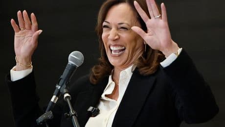 Kamala Harris is trying to gain momentum for a California governor run — but ‘no one is incredibly pumped,’ report says