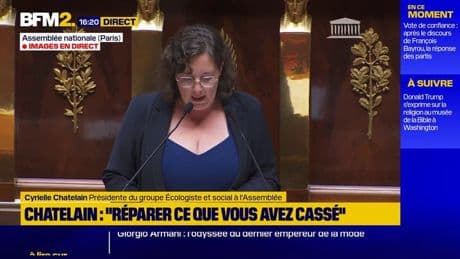 "La crise que nous traversons n'est pas un simple casting" : Cyrielle Chatelain répond à François Bayrou après son discours à l'Assemblée