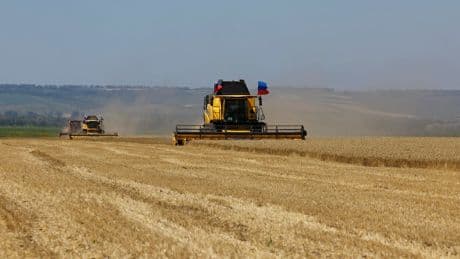 Russia to sell crops from occupied areas of Ukraine