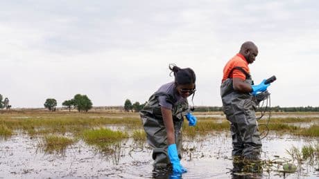 Forscherin kämpft gegen Wasserdrama, das unsere Welt langsam vergiftet