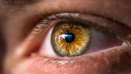 Desarrollan una técnica que restaura la visión perdida con nanopartículas de oro
