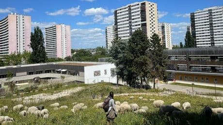 Une balade à Fontenay-sous-Bois, de l’écoparc des Carrières à la Halle Roublot