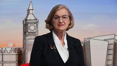Controversial ex-Ofsted chief warns against ‘vilifying’ public bodies