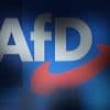 Partei auf Extremistenliste: Rheinland-Pfalz stellt keine AfD-Mitglieder mehr ein