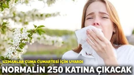 Türkiye'de polen alarmı! Normalin 250 katına çıkacak