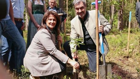 Klimawandel: Söder zieht positive Zwischenbilanz bei Waldumbau