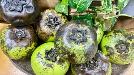 Oro negro: la fruta tropical poco conocida en España que aporta energía y mejora la absorción de hierro