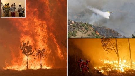 Spain suffers its worst wildfires on record as deadly infernos ravage area twice the size of London after two-week heatwave 'that has left 1,100 dead'