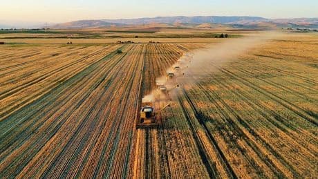 Tarımsal girdi fiyat endeksi Haziran 2023'ten beri en düşük seviyede